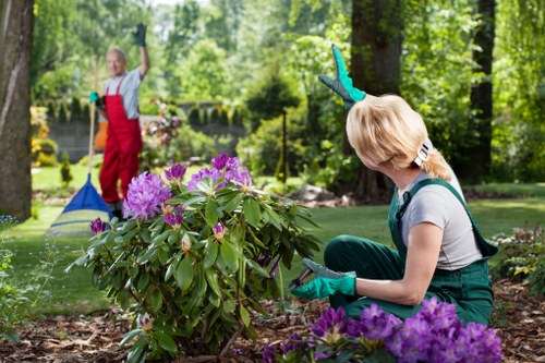 Local Elwood gardener maintaining a vibrant garden