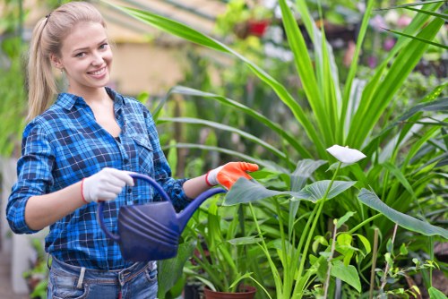 Professional gardener trimming a hedge in a lush garden