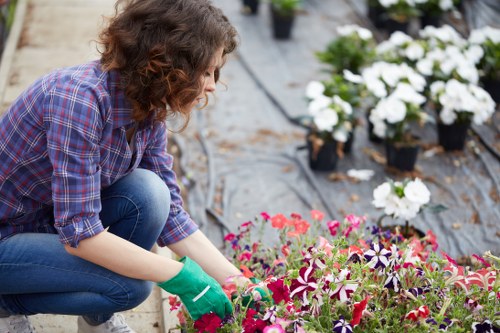 Efficient irrigation system installed by Mia Gardeners