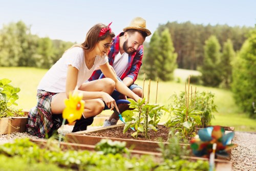 Professional garden maintenance services