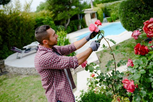 Professional gardener designing a Potts Point garden