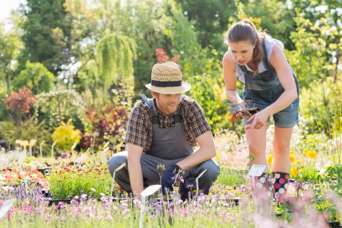 Experienced Enmore gardeners pruning shrubs