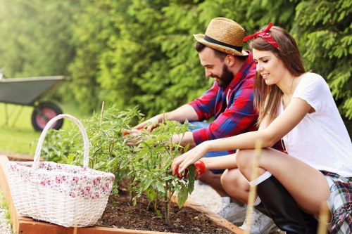 Specialized gardening services in Mount Hawthorn