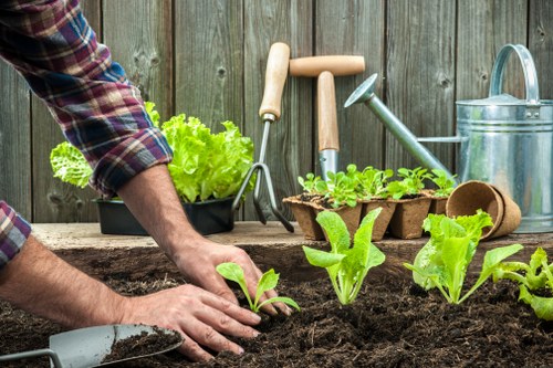 Professional gardener working on a landscape design