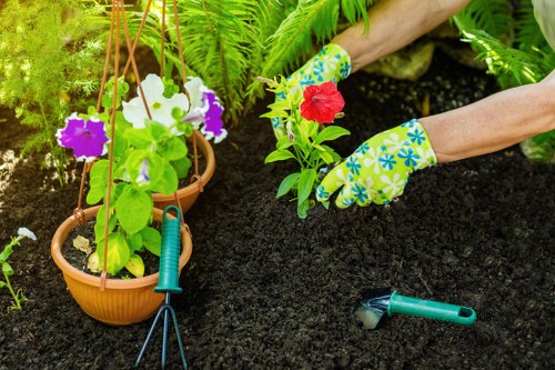 Professional gardeners working in a beautiful Dolls Point garden