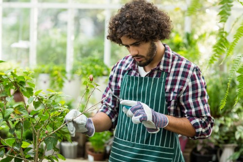 Healthy garden maintained by Greensborough experts