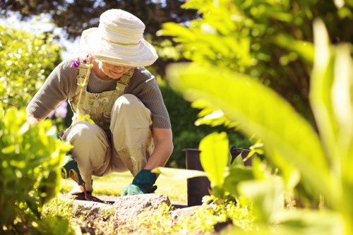 Professional gardener designing a landscape in Oatley