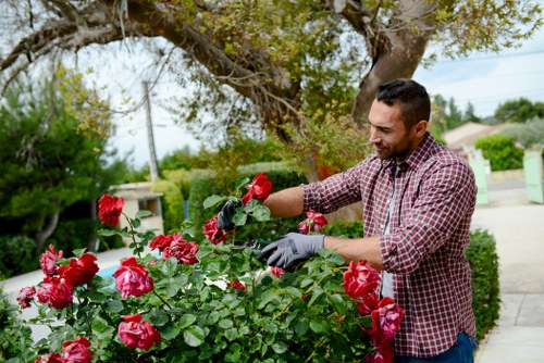 Experienced gardeners working on a lush Gardenvale landscape