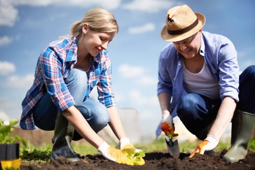 Organic gardening practices by Newport experts