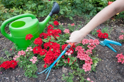 Professional gardener working in Frankston South