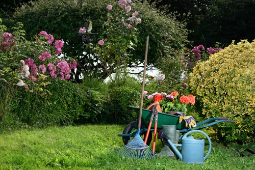 Professional gardener designing a lush Moorabbin garden