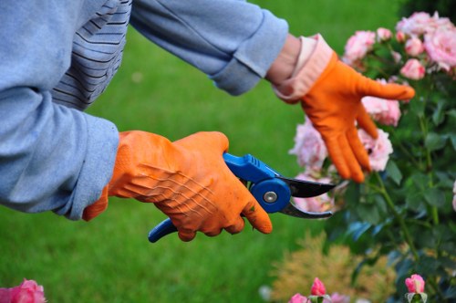 Beautiful garden maintained by expert gardeners in Mordialloc