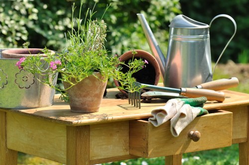 Professional gardener maintaining a vibrant Asquith garden