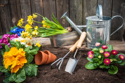 Seasonal planting and care in a Brunswick East garden.