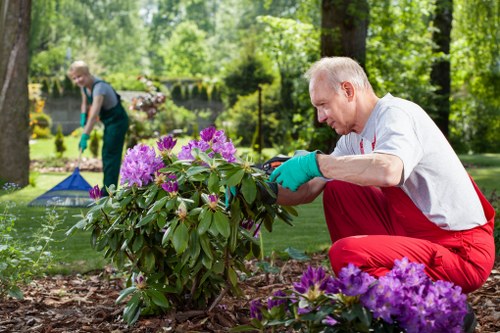 Local gardeners working in a Princes Hill garden