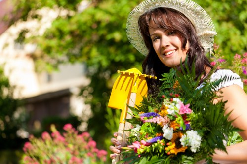 Lush vegetable and herb garden maintained by Kingsgrove experts