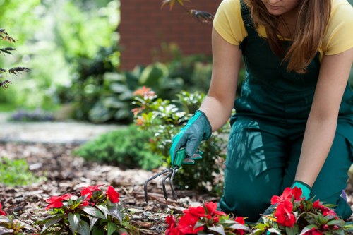 Mia Gardeners team performing tree care services