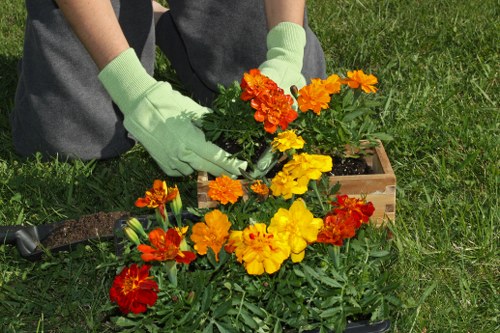 Gardening experts from Enmore providing soil care