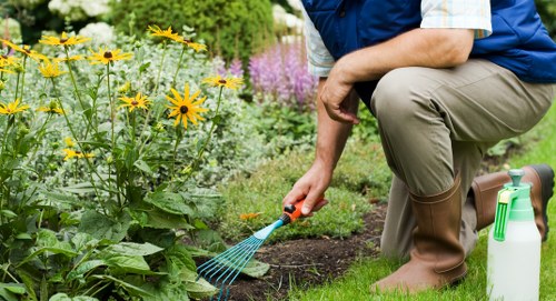 Sustainable gardening practices by Mia Gardeners