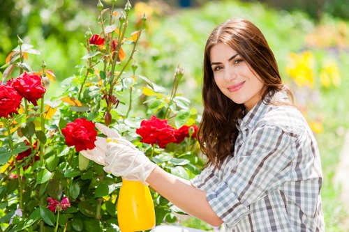 Expert pruning and trimming by Richmond gardeners