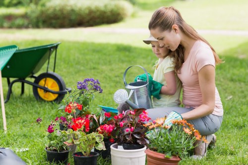 Professional gardeners designing a landscape