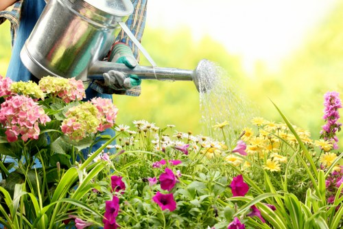 Gardeners in Frenchs Forest providing landscaping services