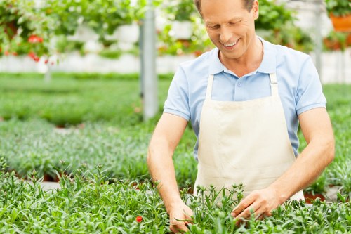 Sustainable gardening practices in action