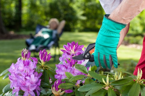 Comprehensive garden clearance services offered