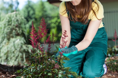 Sustainable gardening practices in Surry Hills