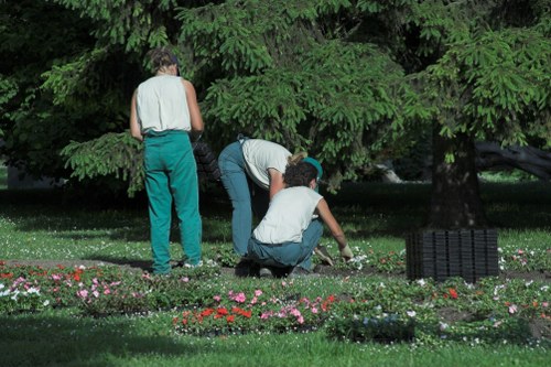 Garden maintenance services in action