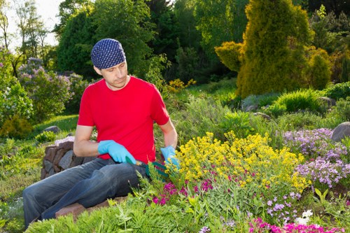 Lush garden with sustainable practices in Chapel Hill neighborhood.