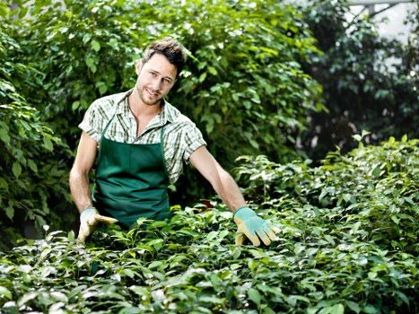 Professional gardener designing a landscape in Brunswick East.