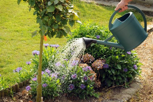 Seasonal gardening tips for Elwood residents