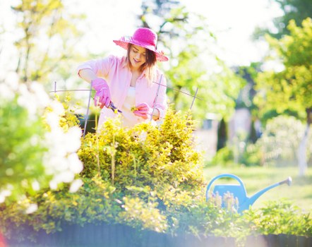 Mia Gardeners team performing garden clearance