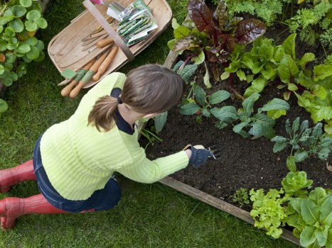 Garden maintenance services in Keilor Downs