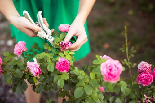 Professional gardener planning a garden layout