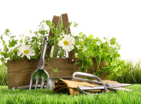 Local gardening team working on a Derrimut garden