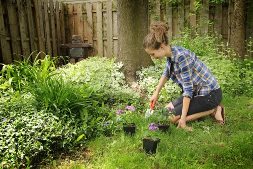 Outdoor living space enhanced by Melton South gardeners