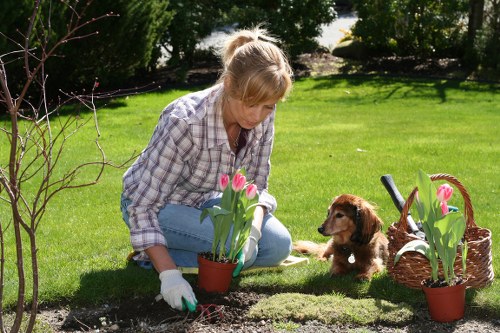 Moorabbin gardeners maintaining a vibrant residential garden