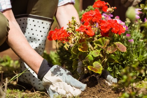 Expert garden design featuring native plants in Chapel Hill.