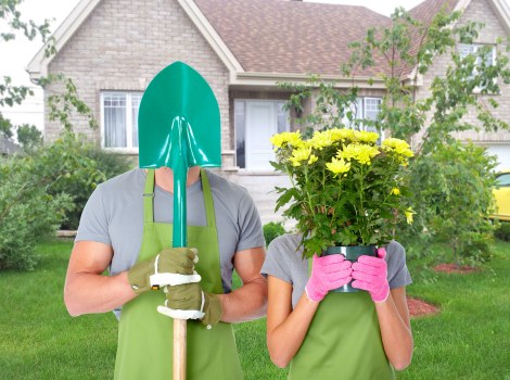 Professional gardeners maintaining a vibrant Gymea backyard