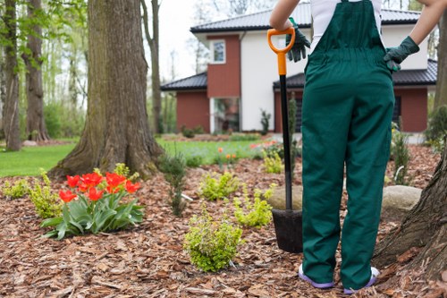 A beautiful, well-maintained garden in Canning Vale