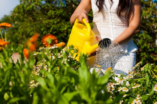 Vibrant lawn care services provided by Mia Gardeners