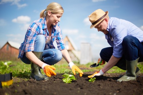 Professional gardeners working in a backyard.