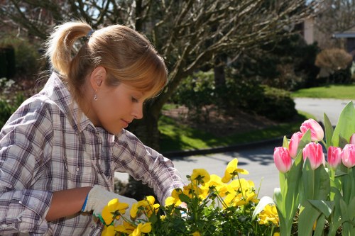 Gardeners designing a tropical garden