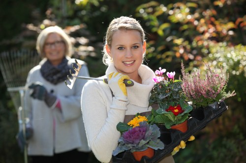 Lush and healthy plants in a Graceville garden