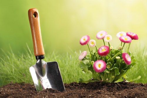 Organic gardening practices in Sandgate