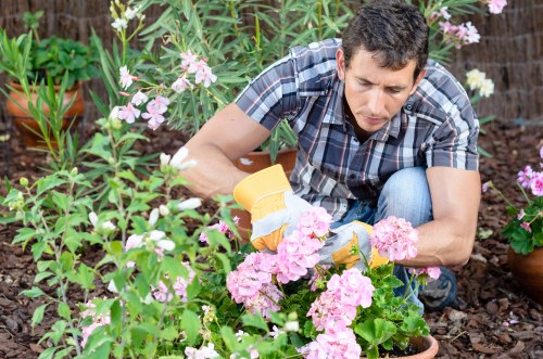 Expert landscapers planting native flora in Moorabbin