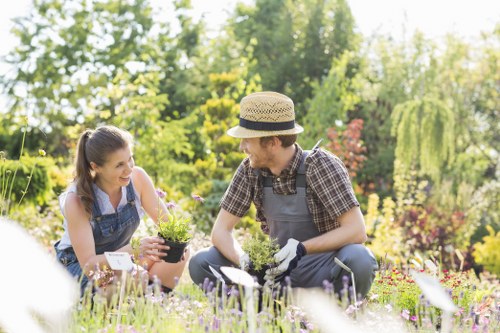 Eco-friendly gardening practices implemented by Gymea professionals