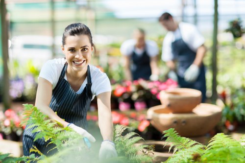 Gardeners working on a landscaped backyard in Woolloomooloo